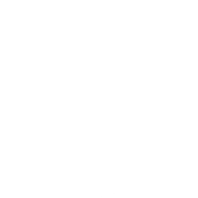 lizard 1